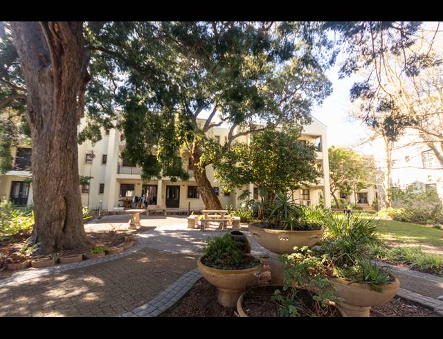 1 BEDROOM APARTMENT TO LET IN RONDEBOSCH VILLAGE